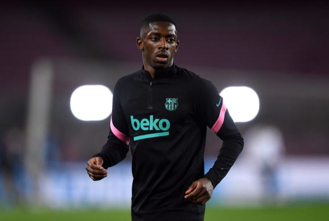 仅为他提供 仅为他提供