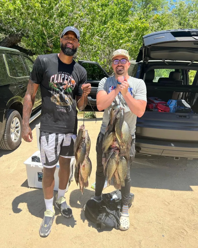 的到来无疑 的到来无疑